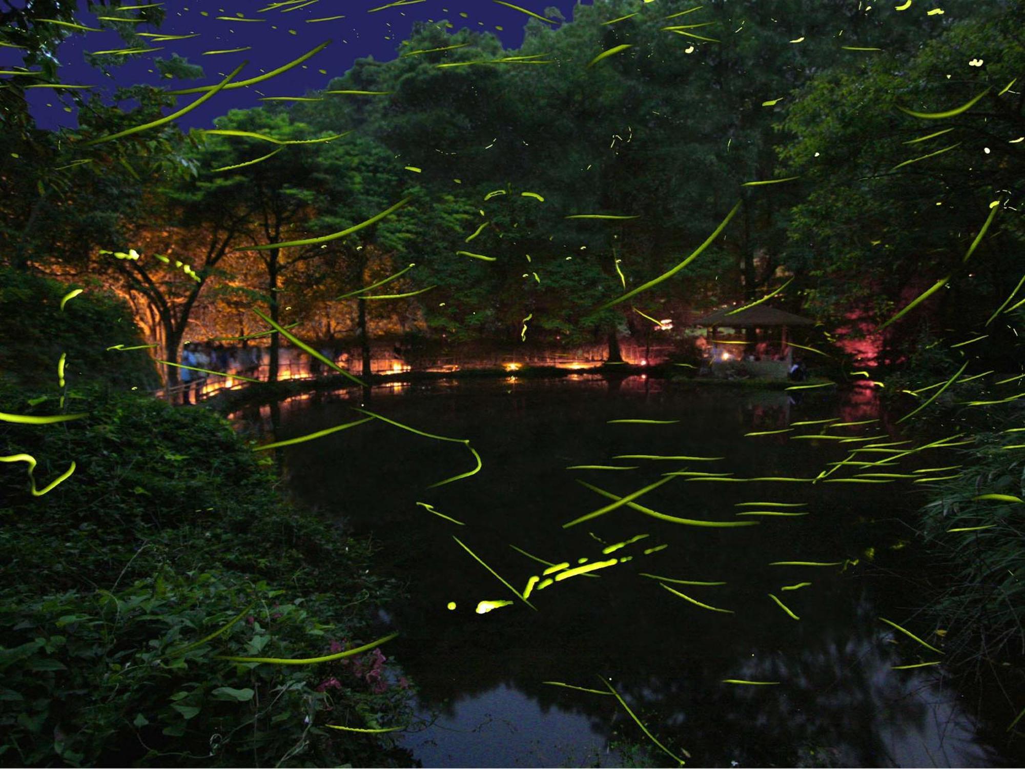 Izu Katase Onsen Ayumitei Fukumatsuso Hotel Higashiizu Exterior foto